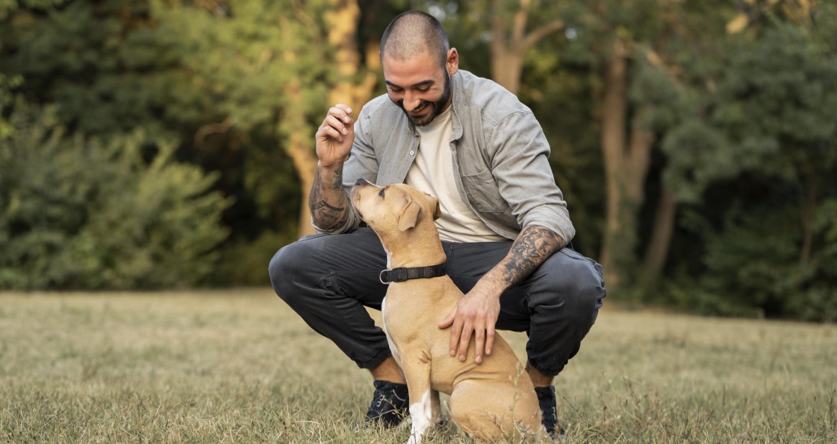 A Beginner's Guide to Puppy Training
